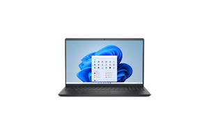 DELL 15 DC15250 15,6" FHD, Int.i5-1334U Win 11 Pro