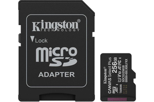 Kingston 256 SD micro Canvas Select Plus