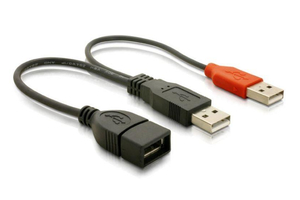 Delock USB adat- és hálózati kábel 65306