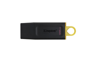 Kingston 128GB USB3.2 DataTraveler Exodia (DTX/12