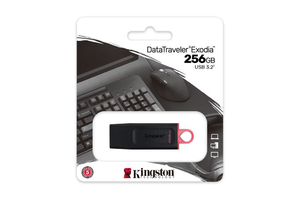 Kingston 256GB USB3.2 DataTraveler Exodia DTX/256