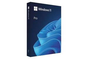 Microsoft Windows 11 Pro 64-bit HUN 1 Felhasználó